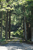 camp27 (131)_thumb.png